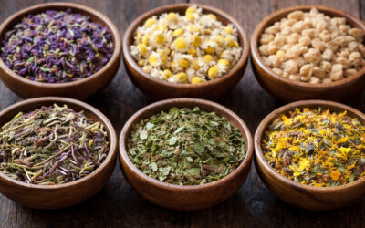 6 Herbs for Anxiety and Depression