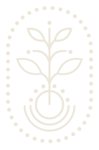 Aterraé